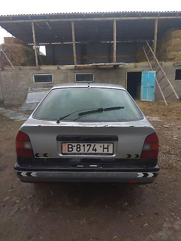 e53 amg: Nissan Primera: 1994 г., 1.6 л, Механика, Бензин, Хэтчбэк — 7