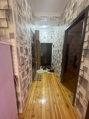 Yeni tikili: Zığ qəs., 2 otaqlı, Yeni tikili, 54 kv. m — 12