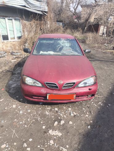 куплю битые машины: Nissan Primera: 2001 г., 2 л, Механика, Бензин, Седан