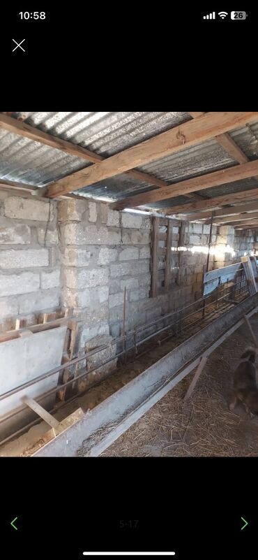 Həyət evləri və villaların satışı: Qala qəs. 3 otaqlı, 550 kv. m, Kredit yoxdur, Orta təmir — 11