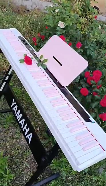 dj controller az: Piano, Rəqəmsal, Yeni, Pulsuz çatdırılma — 4