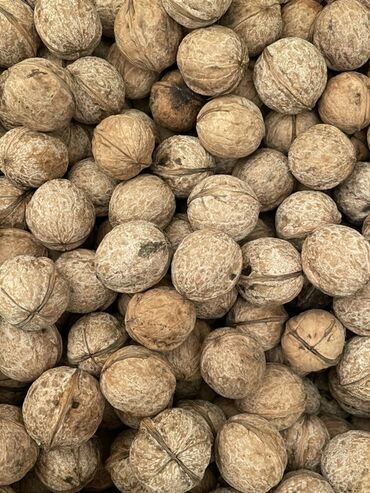 бензапила каракол: Грецкие орехи в скорлупе