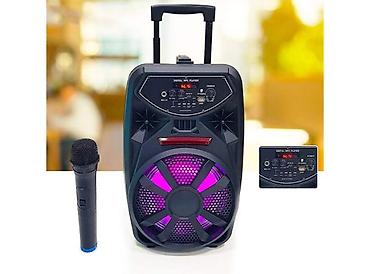 mini blender: Groove Prenosni punjivi Bluetooth zvučnik 8 inča -100w 👍CENA ----4990 — 1