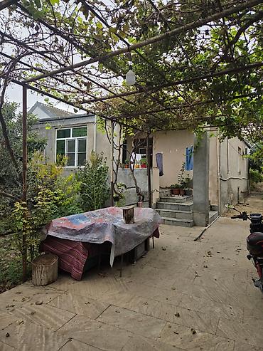 imisli ev elanlari: Binə sovxozda, 160 nömrəli avtobusun son dayanacağına yaxın ərazidə — 3
