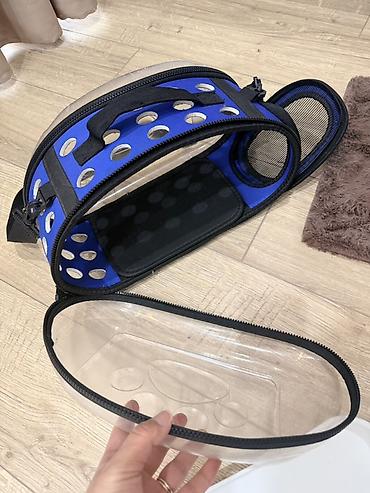 Зоотовары: Набор для кошки/котёнка(б/у) В комплект входит: - Когтеточка-столб с — 5