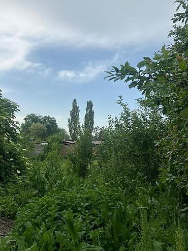 модульный дом 2 комнаты: 📌В селе Беловодское продается старенький дом на участке 8 соток — 3