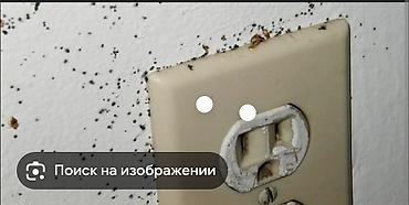 тест на короновирус: Дезинфекция, дезинсекция, | Клопы, Блохи, Тараканы, | Транспорт, Офисы, Квартиры — 2