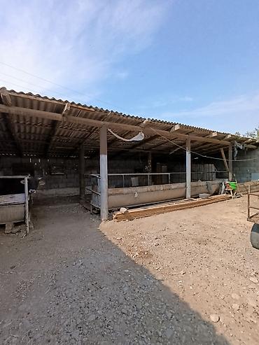 Продажа коттеджей и домов: Продается дом, 5 комнат, 49 СОТОК 📌В селе Беловодское продается — 17