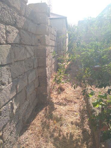 Torpaq sahələrinin satışı: 2 sot, Maklerlər narahat etməsin, Bələdiyyə — 5