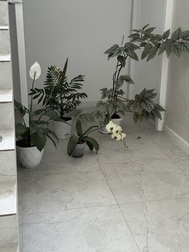 Иссык-Куль 2025: Койко-место, Bugu Каракол, Барбекю, Парковка, стоянка, Охраняемая территория — 7