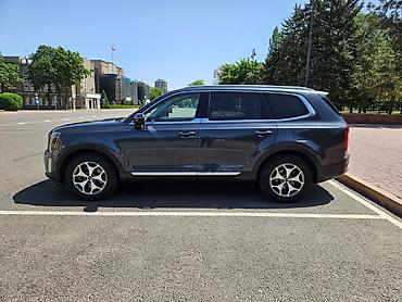 telluride: Kia Telluride: 2019 г., 3.8 л, Автомат, Бензин, Кроссовер — 9