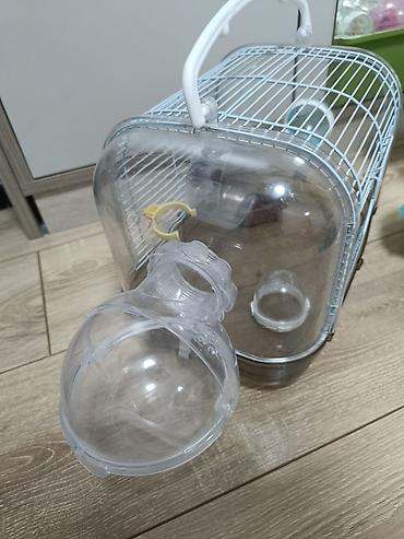qefes satisi: Şəkildə gördüyünüz hamısı 60AZN Siçan/hamster üçün komplekt qəfəs — 8