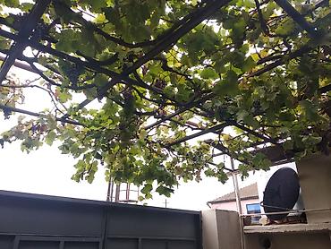 babək: 4 otaqlı, 150 kv. m, Kredit yoxdur, Orta təmir — 7