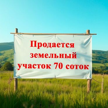 токмок участок сатылат: 70 соток, Айыл чарба үчүн, Башкы ишеним кат