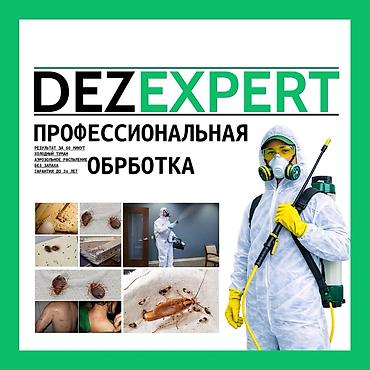 мраморные тараканы: Профессиональная дезинсекция от тараканов — DEZEXPERT Что предлагаем — 1