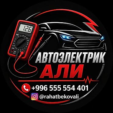 авто электронщик: Автоэлектрик Али Профессиональная диагностика и ремонт автоэлектрики — 1