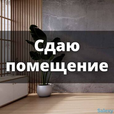Офисы: Сдаю помещение - 100 кв.м