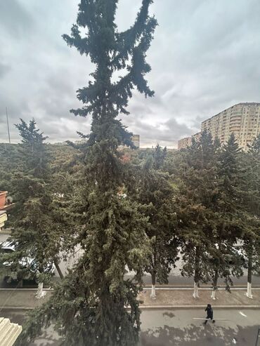 Yeni tikili: 1 otaqlı, Yeni tikili, 35 kv. m -da lalafo.az — 1 Yeni tikili: 1 otaqlı, Yeni tikili, 35 kv. m — 1