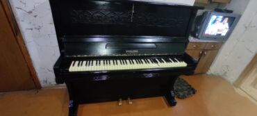 İnformatika: Piano, Akustik, İşlənmiş, Ünvandan götürmə