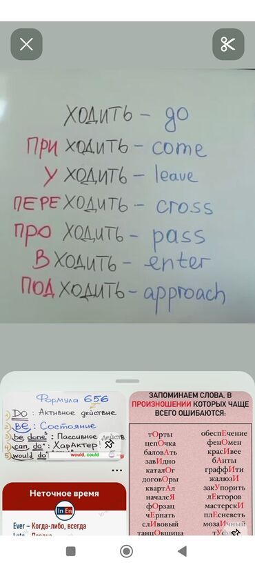 Языковые курсы: Языковые курсы Английский Для взрослых
