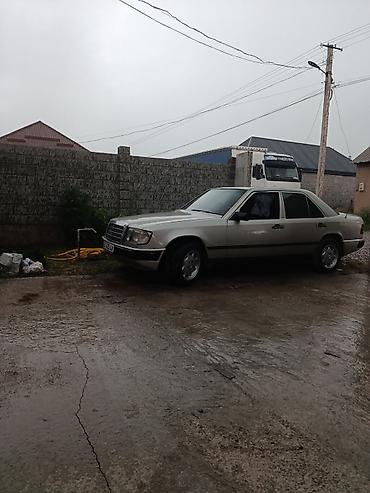 weltmeister meteor: Mercedes-Benz W124: 1989 г., Седан — 1