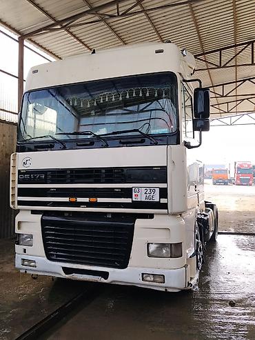 xf: Тягач, DAF, 2002 г., Шторный — 1