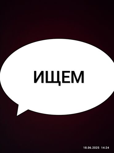 снять дом для мероприятий: 1 бөлмө, Менчик ээси, Чогуу жашоосу жок