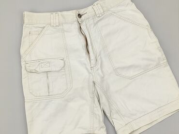 Men's Clothing: Shorts for men, L (EU 40), condition - Good