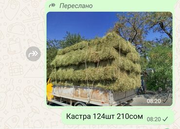 садовая мебель бишкек: Кастра