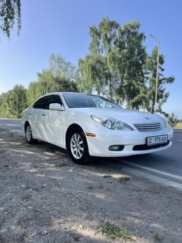 какие машины бизнес класса в яндекс такси бишкек: Toyota Windom (праворульный седан бизнес-класса) - Кузов: белый