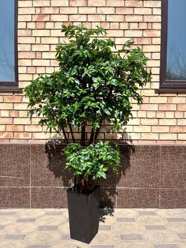 Декоративные цветы: Искусственные деревья и цветы — долговечный и стильный декор без — 11