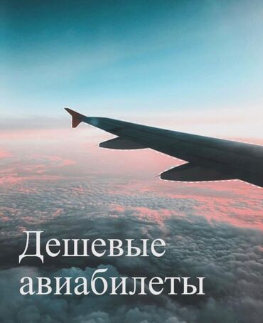 студенческий билет: Ассаляму алейкум. Продаем билеты по самым выгодным ценам, по всему