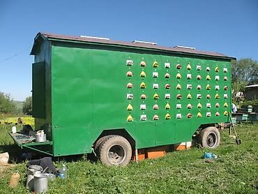 Другое сельско-хозяйственное оборудование: Передвижной павильон для пчеловодства (пчелоприцеп/кочевая пасека) - — 1