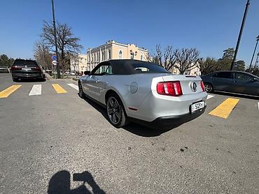 купить ford mustang: Ford Mustang: 2009 г., 4 л, Автомат, Бензин, Кабриолет — 10