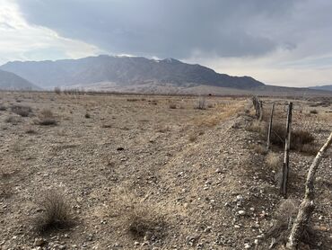 Продажа участков: 600 соток, Для сельского хозяйства, Красная книга, Тех паспорт, Договор купли-продажи — 5