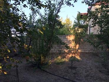 meyvə bağı: Bakı, Novxanı, 170 kv. m, 6 otaqlı, Hovuzsuz, Qaz — 6