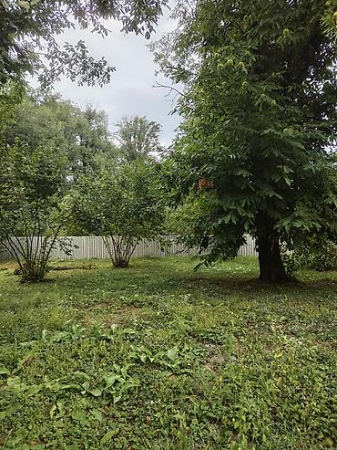 kreditle torpaq sahesi: 31 sot, Tikinti, Kupça (Çıxarış) — 10