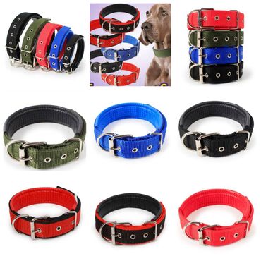 Зоотовары: ПРОДАЮ КОШАЧЬЮ МЯТУ(АНТИСТРЕСС),ПОРАДУЙТЕ СВОГО КОТИКА ТАКОЙ at lalafo.kg — 7 Зоотовары: ПРОДАЮ КОШАЧЬЮ МЯТУ(АНТИСТРЕСС),ПОРАДУЙТЕ СВОГО КОТИКА ТАКОЙ — 7