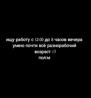 Услуги разнорабочего - График: с 12:00 до 20:00 - Навыки: выполнение