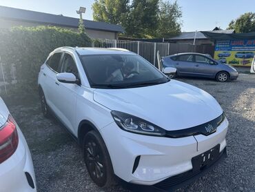 Weltmeister: Weltmeister EX5, 2021 г. — 9