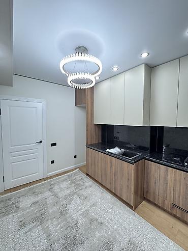 binar: 1 комната, 41 м², ул. Горького / Алматинка 8 этаж, Евроремонт — 9