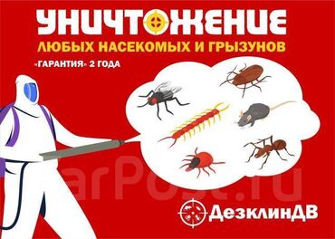 Дезинфекция, дезинсекция: Дезинфекция, дезинсекция, | Мыши и крысы, Тараканы, Блохи, | Дома, Кафе, магазины, Квартиры — 6