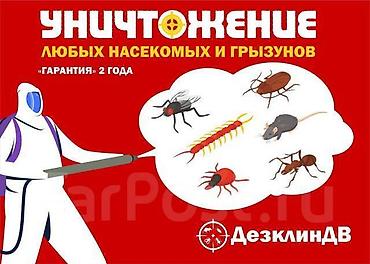 Дезинфекция, дезинсекция: Дезинфекция, дезинсекция, | Мыши и крысы, Клопы, Муравьи, | Дома, Квартиры, Кафе, магазины at lalafo.kg — 5 Дезинфекция, дезинсекция: Дезинфекция, дезинсекция, | Мыши и крысы, Клопы, Муравьи, | Дома, Квартиры, Кафе, магазины — 5