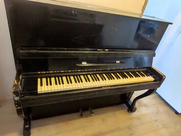 mikrafonlarin satisi: Piano, Akustik, İşlənmiş, Pulsuz çatdırılma