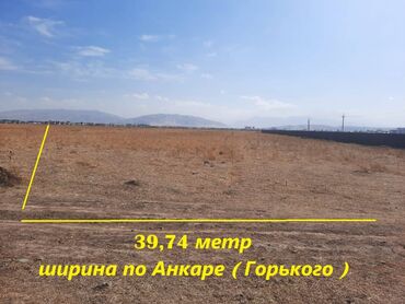 октябрьский: 20 соток, Договор купли-продажи, Красная книга