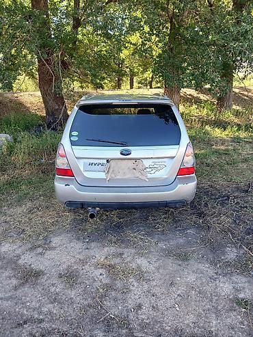 315 70: Subaru Forester: 2005 г., 2 л, Автомат, Бензин, Кроссовер — 2
