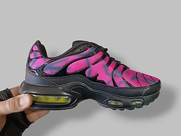 lyle scott: Nike Air Max TN / 2026
(41-46)

Cena: 3500 din
US🤍 — 1