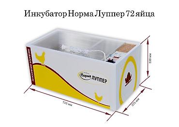 Товары и оборудование для с/х животных: Российский инкубаторлор: Норма луппер 72. Норма парка 120. Норма — 3