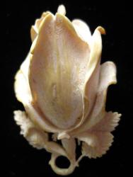 изделия из бисера: Антикварный кулон в виде реалистичной розы. Выполнен полностью из