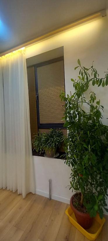 kant flat: 2 комнаты, 63 м², Технопарк Элитка, 2 этаж, Дизайнерский ремонт — 8